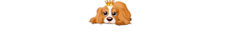 Grooming Deals, Inc. 