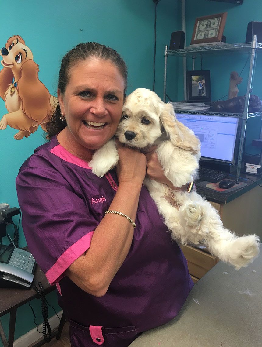 Angela holding a newly groomed dog.
