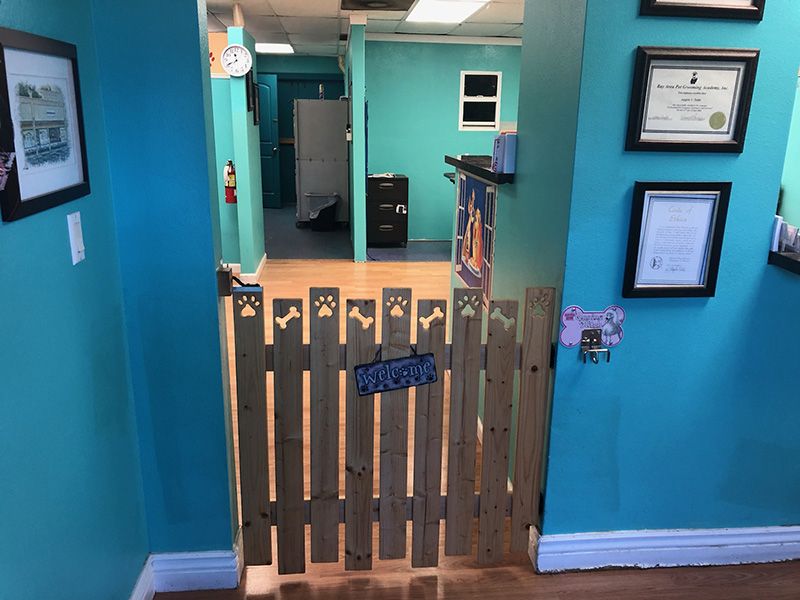 A gate to the dog bathing area