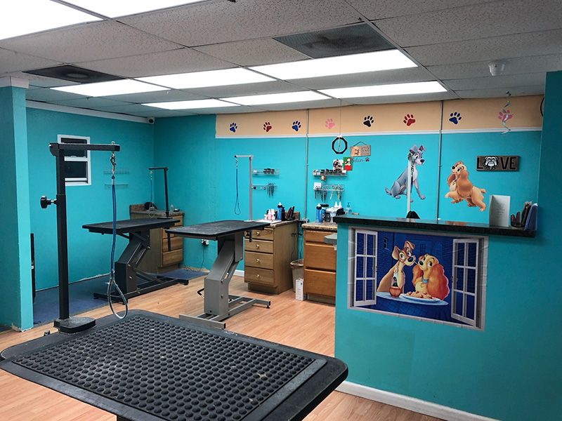 Grooming room