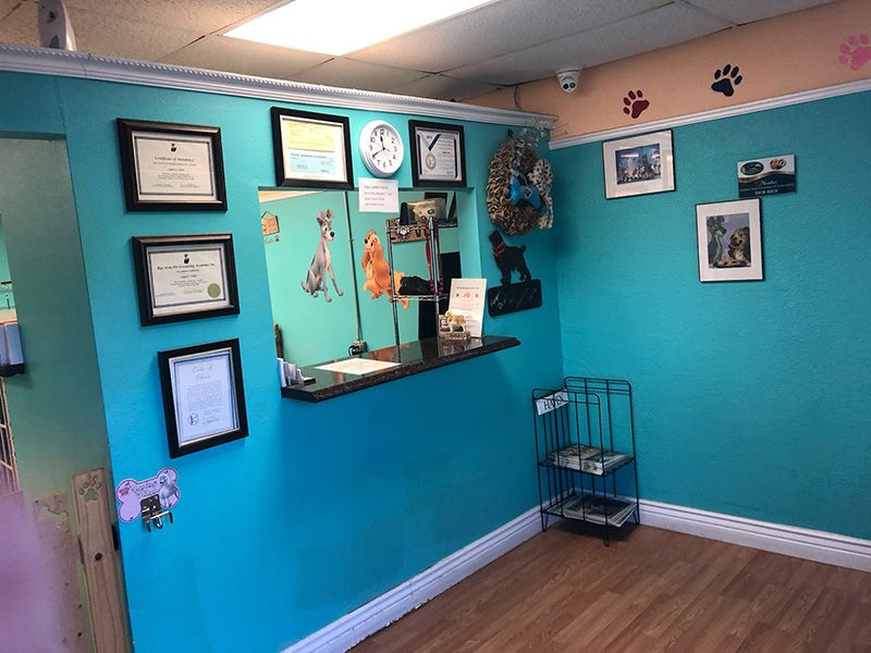 Grooming Deals lobby and salon area